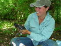 Liz banding Glossy Ibis chick on Hoffman Island. (Photo: Susan Elbin)